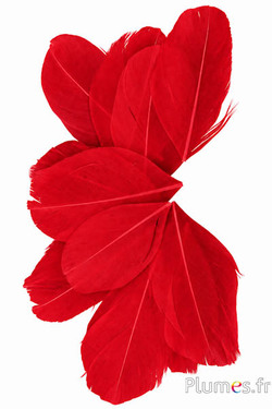 Verenblaadjes - 6-8 x 3-4 cm - rood